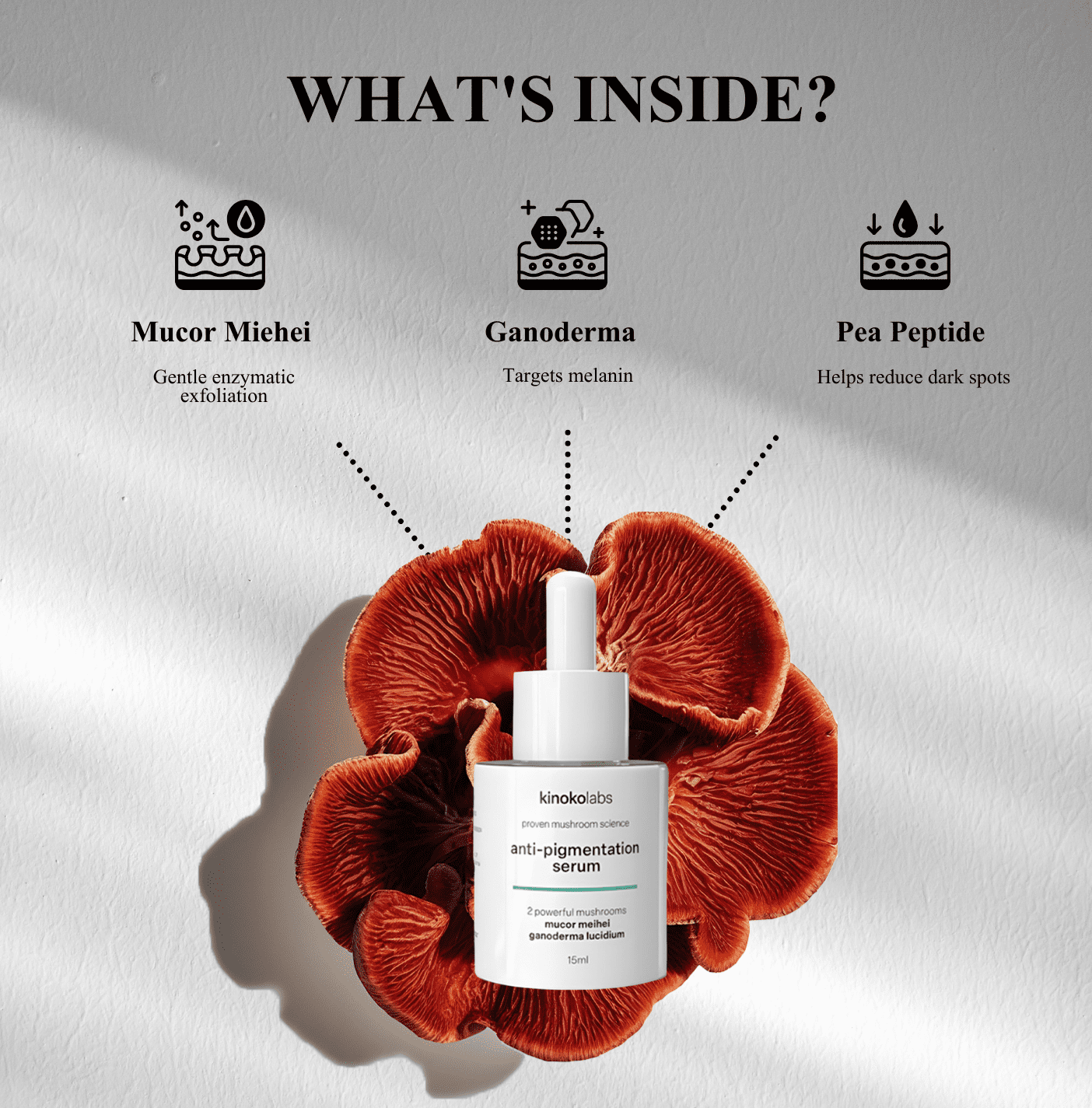 Anti-Pigmentation Serum 15ml - Image 3