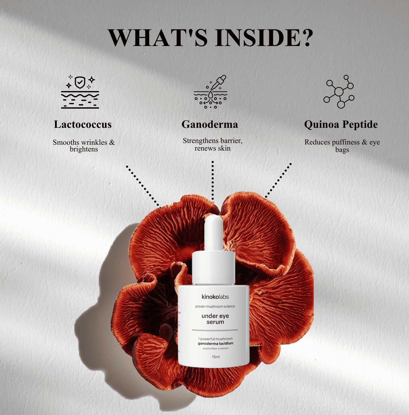 Under Eye Serum - Image 3